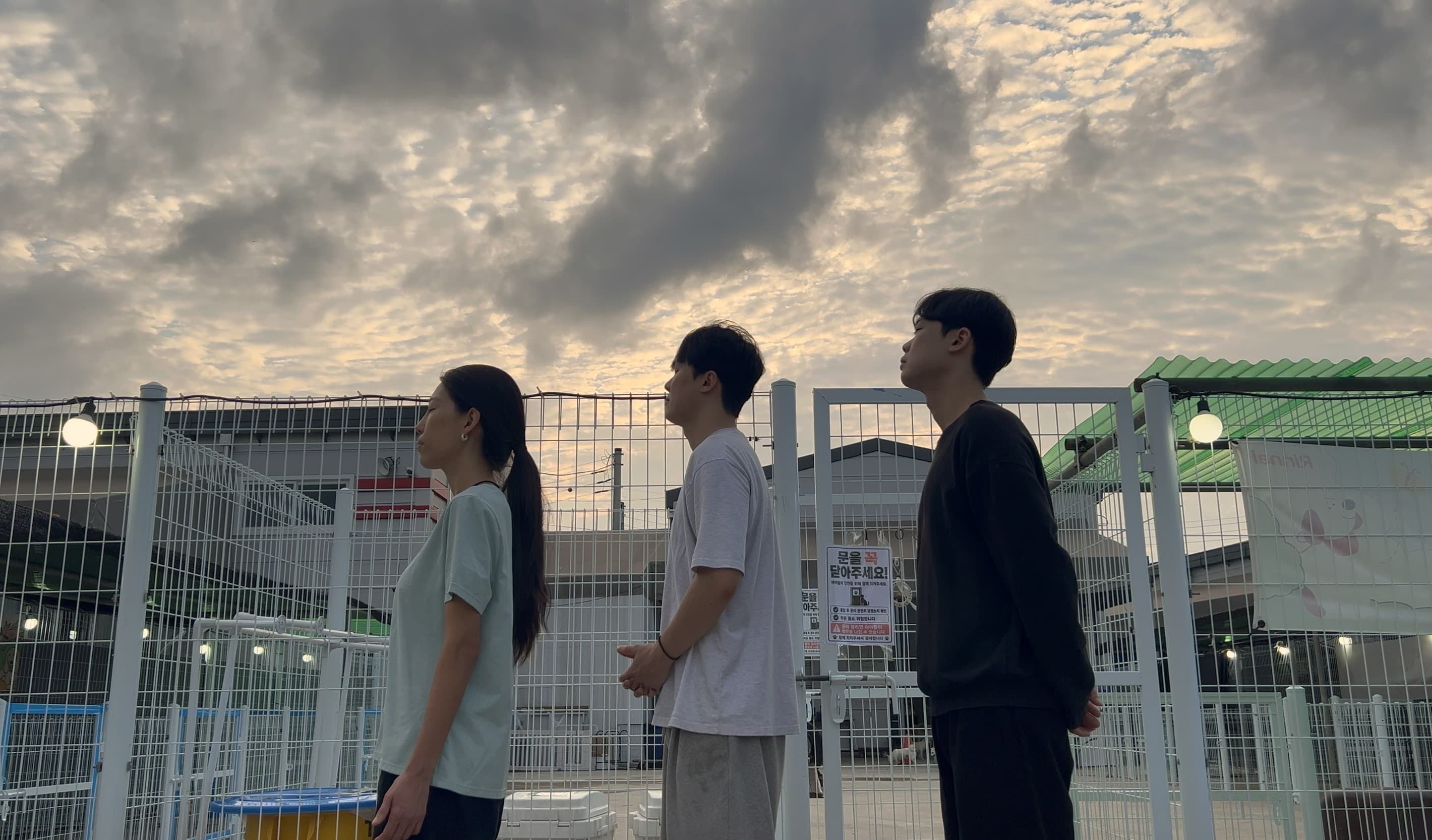 유기견 보호소 앞에서 노을을 바라보는 레스트앤라이즈